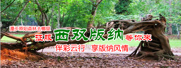 美麗的西雙版納，有沒有我的家