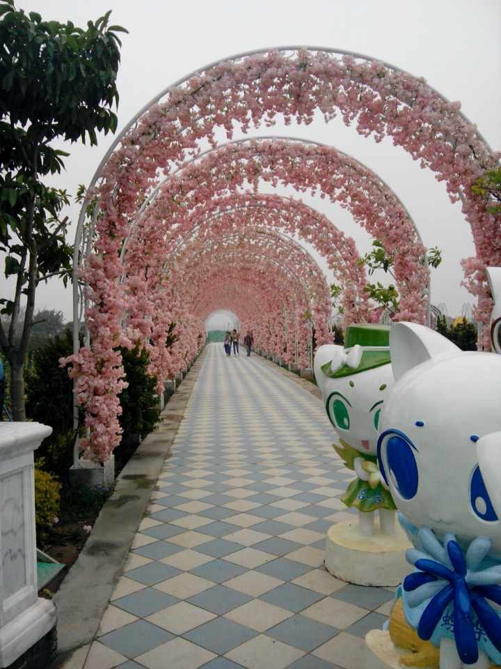 百萬葵園3