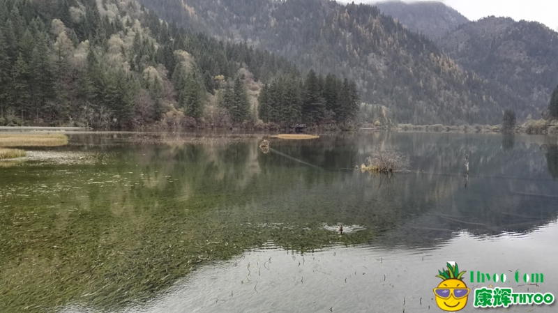 九寨溝美景5