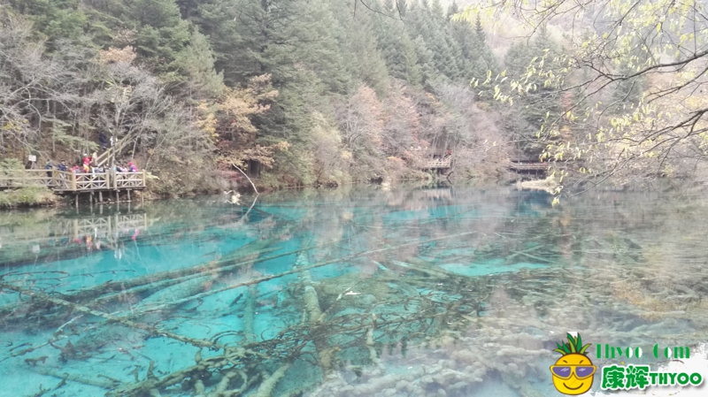 美麗的九寨溝9