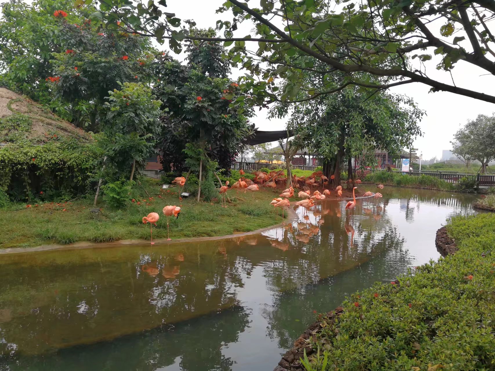 紅樹灣濕地公園