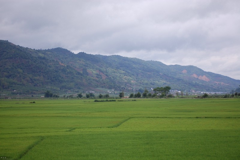 西雙版納風(fēng)景3