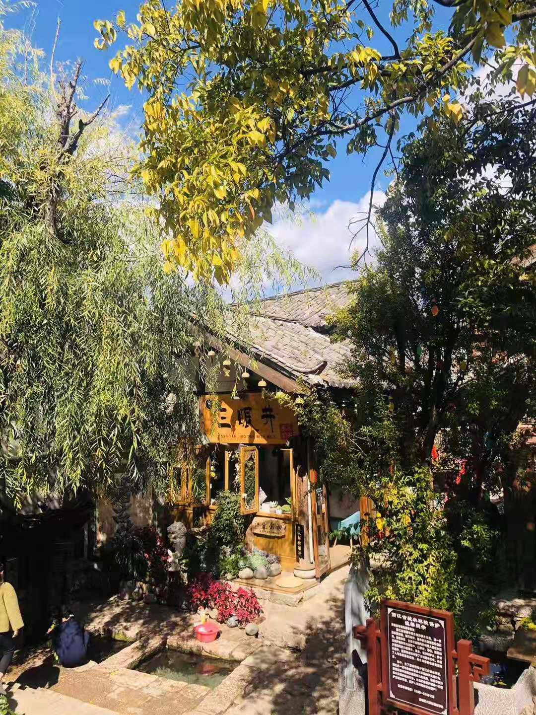 麗江古城風(fēng)景圖-攝影-廣州康輝楊曉勁