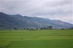 西雙版納風(fēng)景3